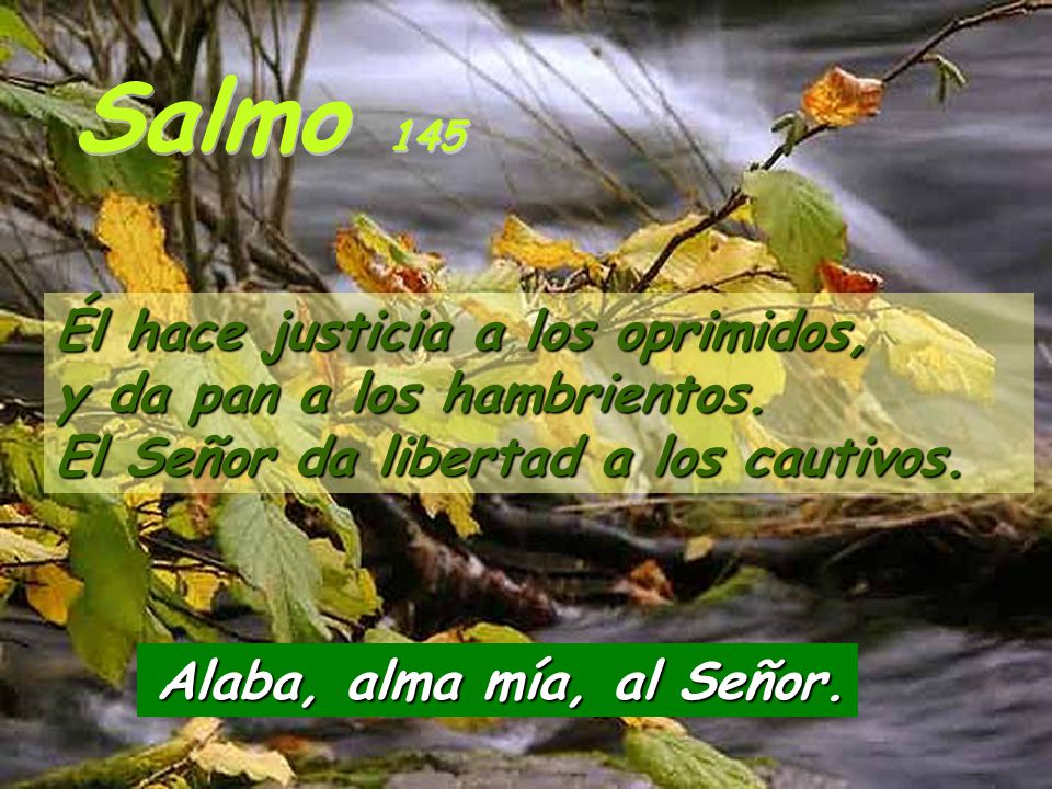 Salmo 145 Él hace justicia a los oprimidos, y da pan a los hambrientos. El Señor da libertad a los cautivos.