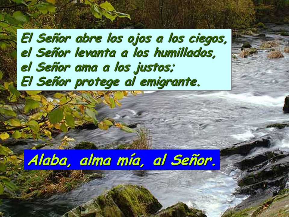 El Señor abre los ojos a los ciegos, el Señor levanta a los humillados, el Señor ama a los justos; El Señor protege al emigrante.