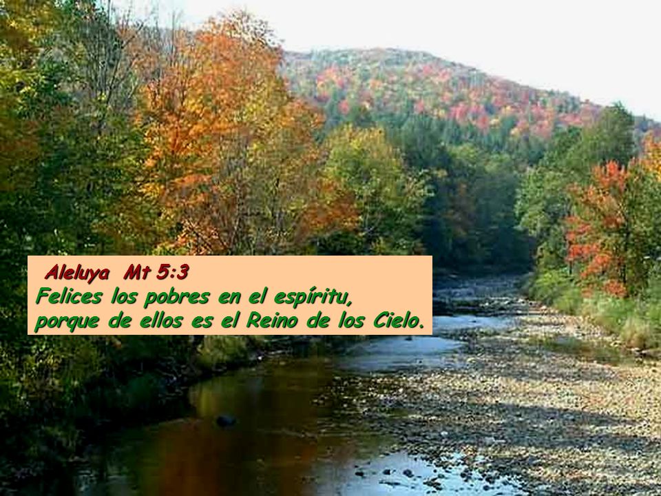 Aleluya Mt 5:3 Felices los pobres en el espíritu, porque de ellos es el Reino de los Cielo.