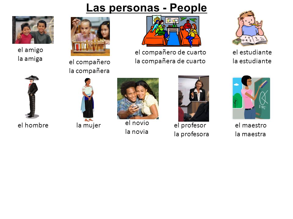 Las personas - People el amigo la amiga el compañero de cuarto