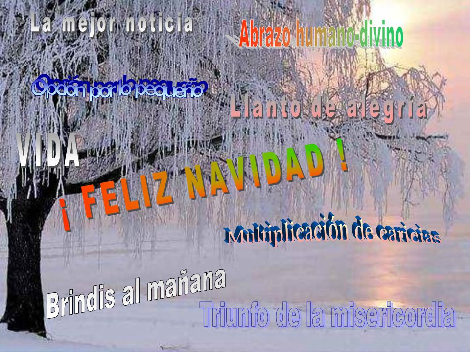 ¡ FELIZ NAVIDAD ! VIDA Llanto de alegría Multiplicación de caricias