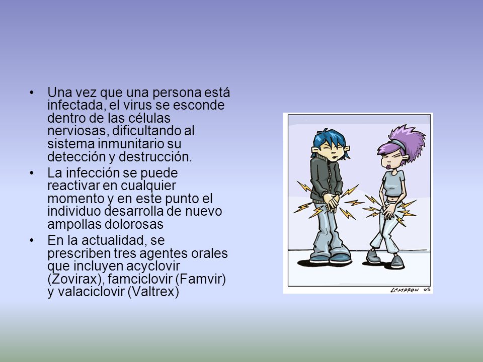 Una vez que una persona está infectada, el virus se esconde dentro de las células nerviosas, dificultando al sistema inmunitario su detección y destrucción.