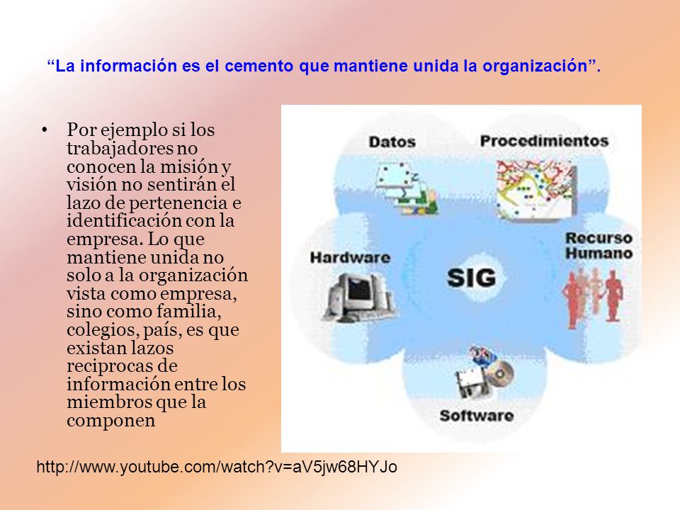 La información es el cemento que mantiene unida la organización .