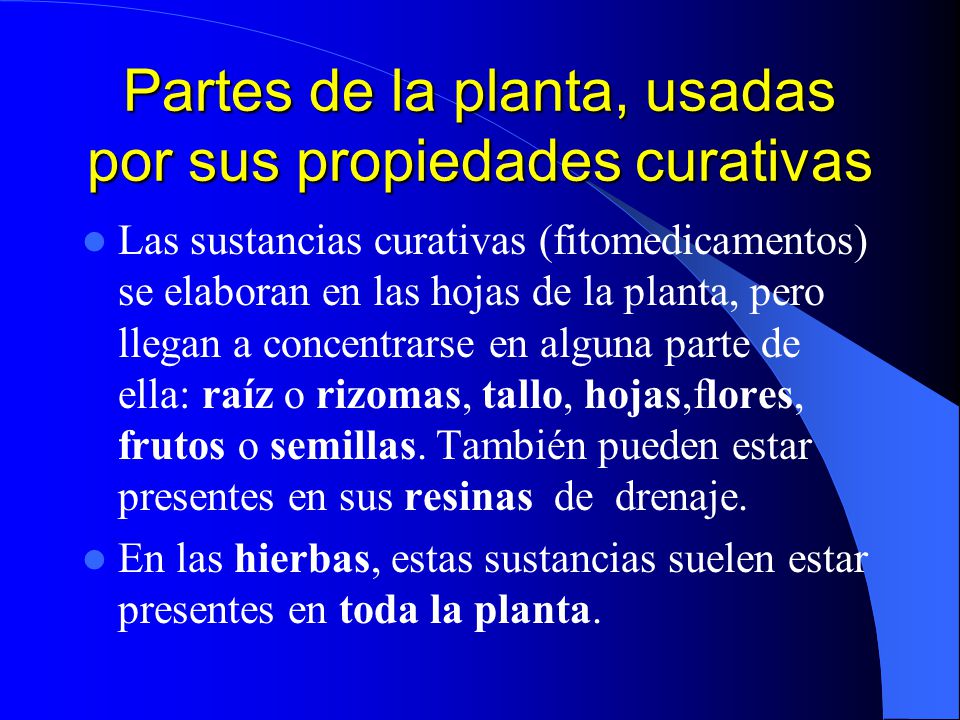 Partes de la planta, usadas por sus propiedades curativas
