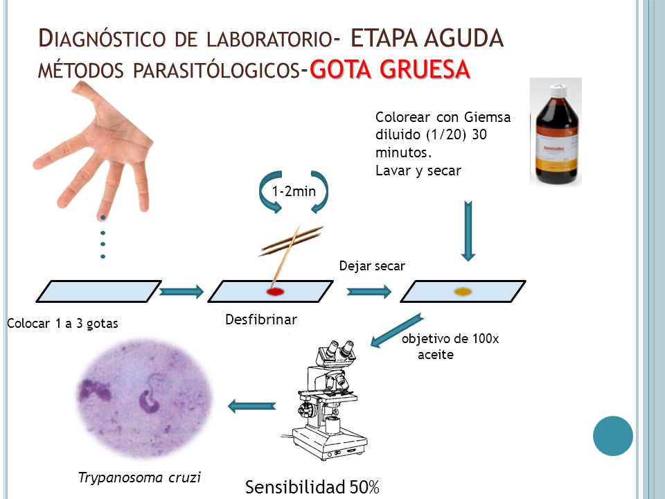 Diagnóstico de laboratorio- ETAPA AGUDA métodos parasitólogicos-GOTA GRUESA