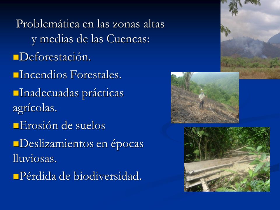 Problemática en las zonas altas y medias de las Cuencas: