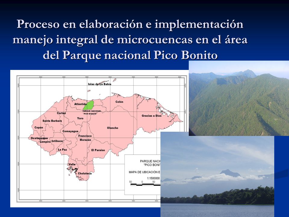 Proceso en elaboración e implementación manejo integral de microcuencas en el área del Parque nacional Pico Bonito