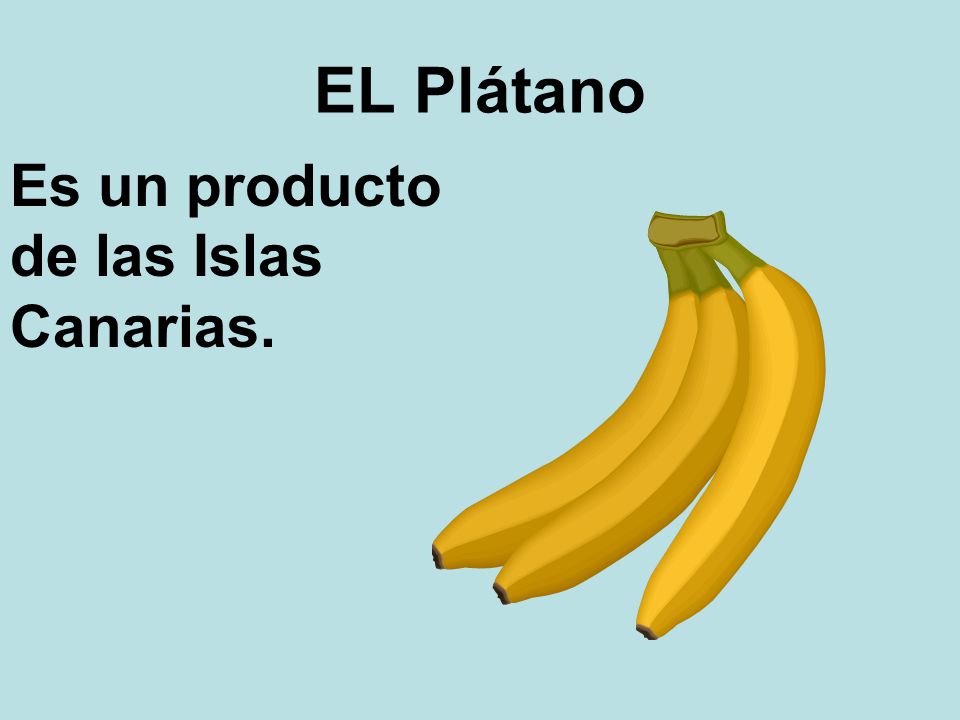 EL Plátano Es un producto de las Islas Canarias.
