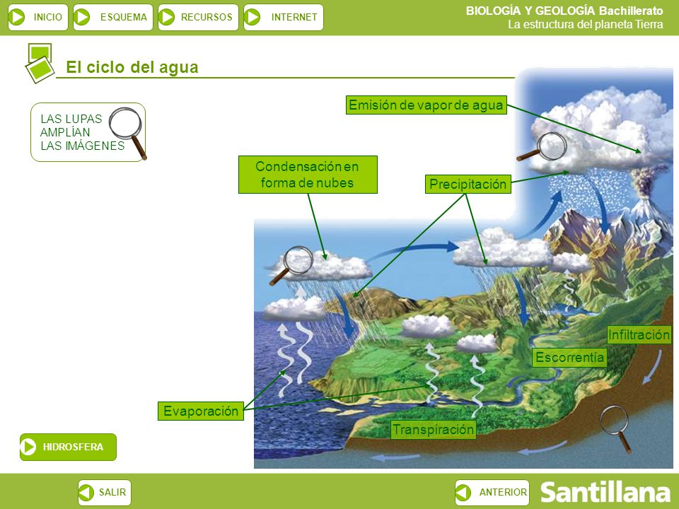 El ciclo del agua Emisión de vapor de agua