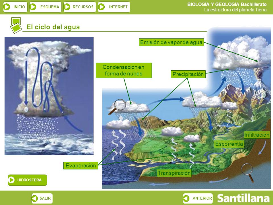 El ciclo del agua Emisión de vapor de agua