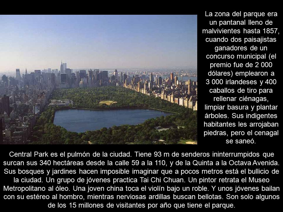 La zona del parque era un pantanal lleno de malvivientes hasta 1857, cuando dos paisajistas ganadores de un concurso municipal (el premio fue de dólares) emplearon a irlandeses y 400 caballos de tiro para rellenar ciénagas, limpiar basura y plantar árboles. Sus indigentes habitantes les arrojaban piedras, pero el cenagal se saneó.