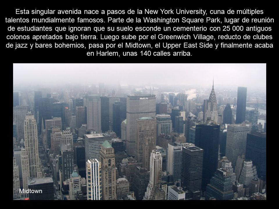 Esta singular avenida nace a pasos de la New York University, cuna de múltiples talentos mundialmente famosos. Parte de la Washington Square Park, lugar de reunión de estudiantes que ignoran que su suelo esconde un cementerio con antiguos colonos apretados bajo tierra. Luego sube por el Greenwich Village, reducto de clubes de jazz y bares bohemios, pasa por el Midtown, el Upper East Side y finalmente acaba en Harlem, unas 140 calles arriba.