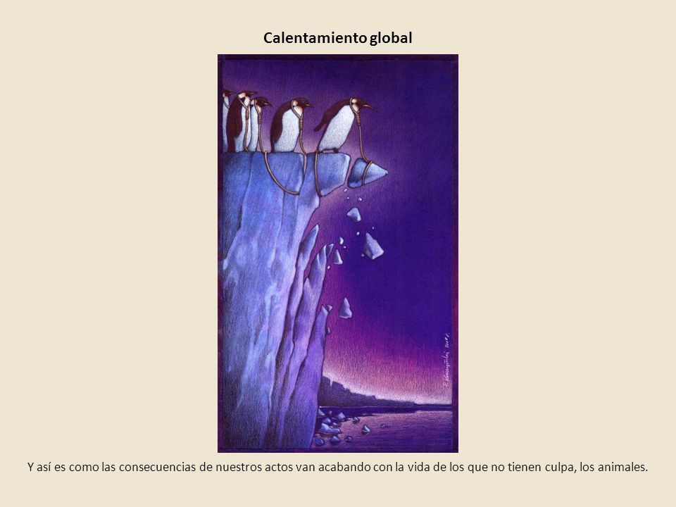 Calentamiento global Y así es como las consecuencias de nuestros actos van acabando con la vida de los que no tienen culpa, los animales.