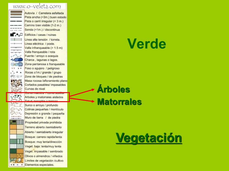 Verde Árboles Matorrales Vegetación