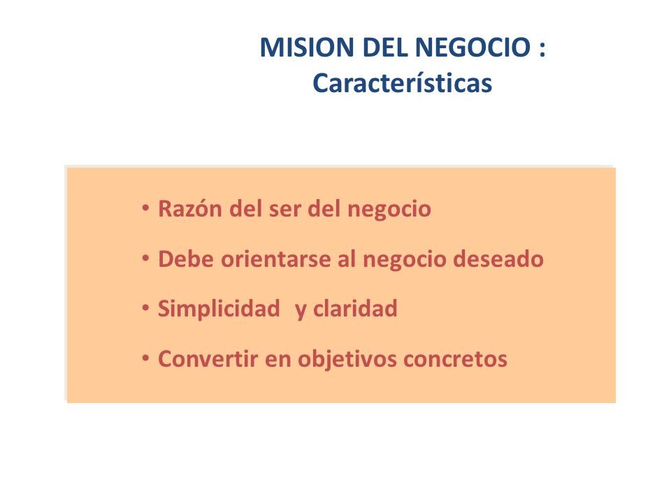 MISION DEL NEGOCIO : Características
