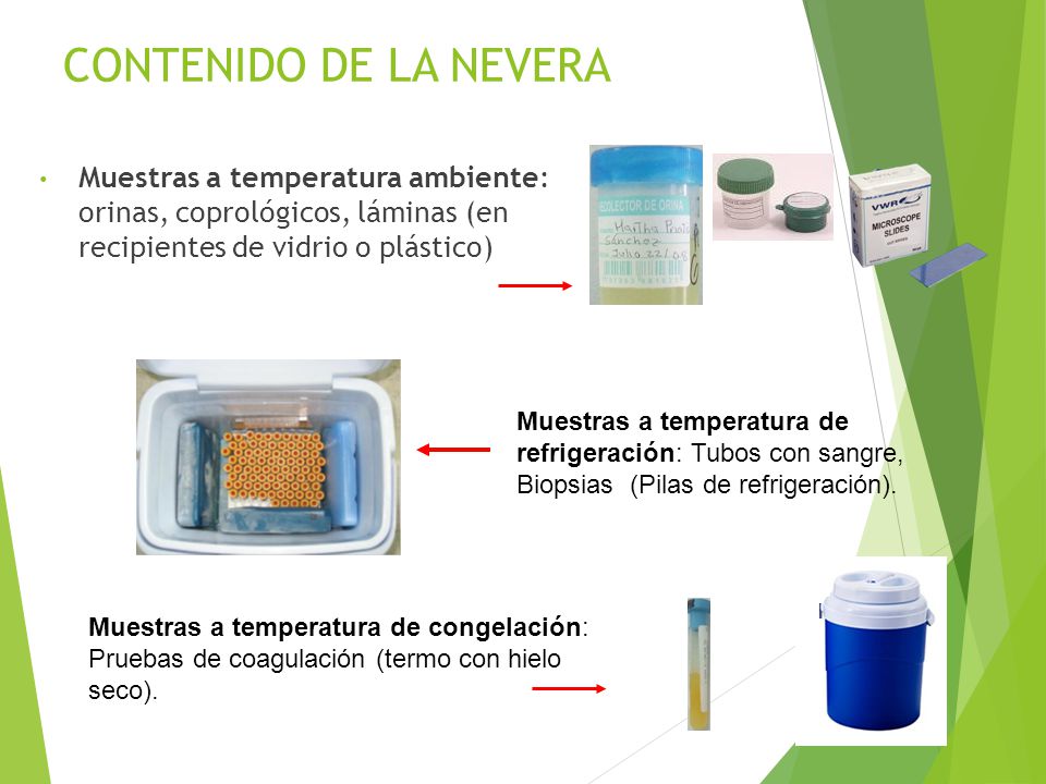 CONTENIDO DE LA NEVERA Muestras a temperatura ambiente: orinas, coprológicos, láminas (en recipientes de vidrio o plástico)
