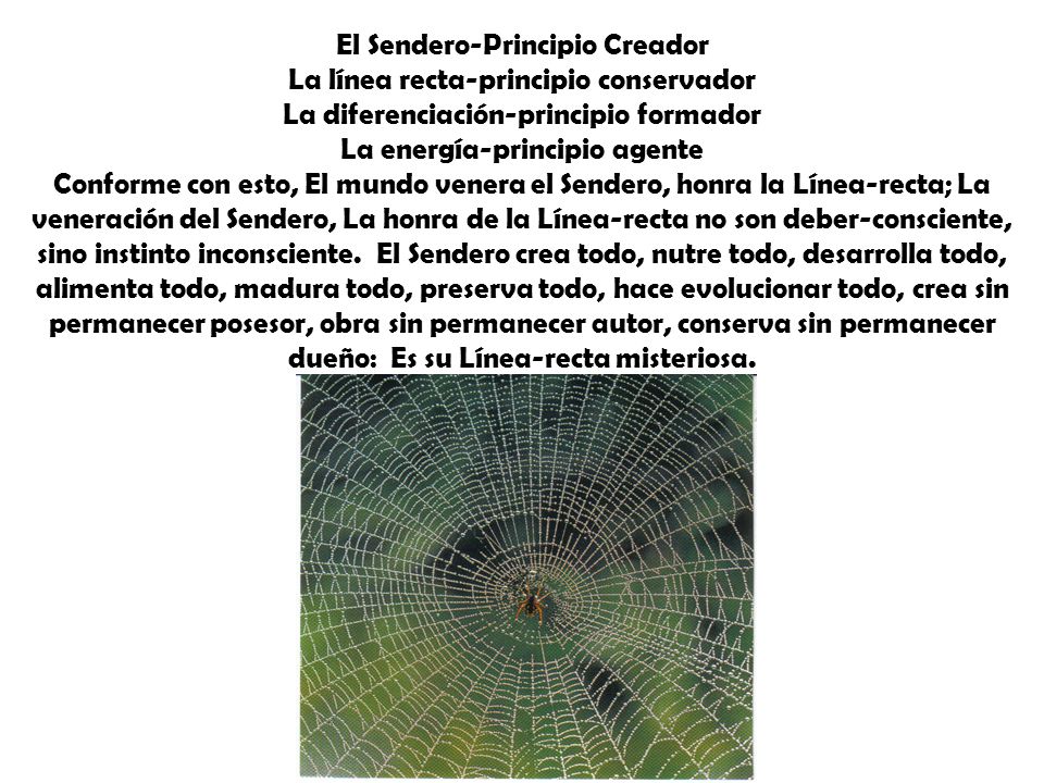 El Sendero-Principio Creador La línea recta-principio conservador La diferenciación-principio formador La energía-principio agente Conforme con esto, El mundo venera el Sendero, honra la Línea-recta; La veneración del Sendero, La honra de la Línea-recta no son deber-consciente, sino instinto inconsciente.
