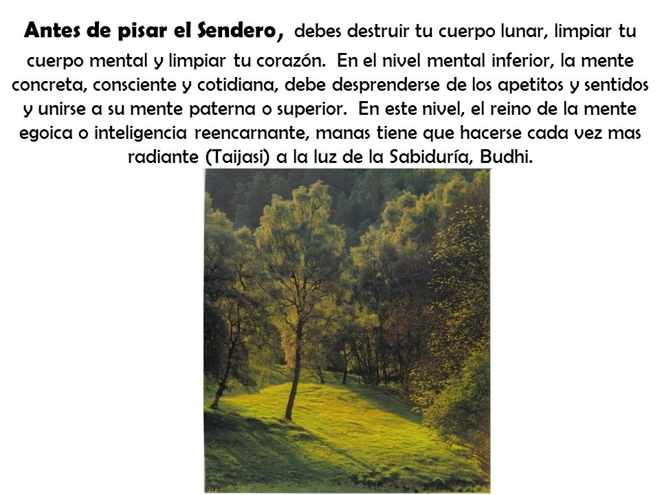 Antes de pisar el Sendero, debes destruir tu cuerpo lunar, limpiar tu cuerpo mental y limpiar tu corazón.