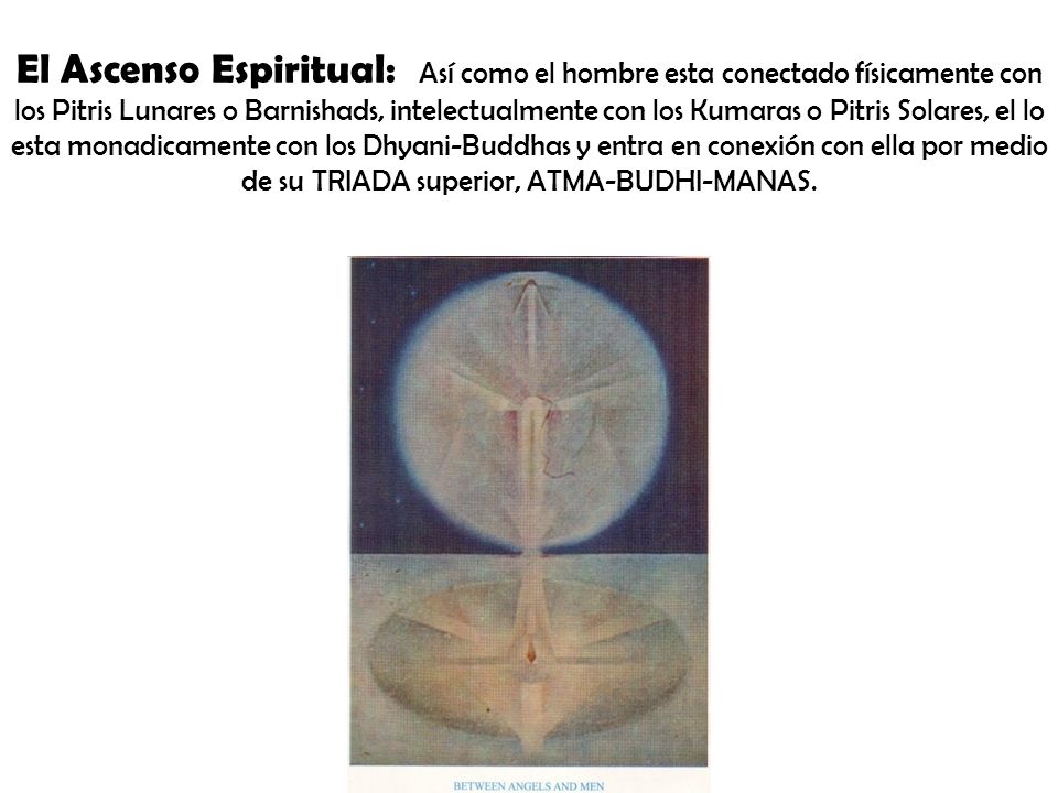 El Ascenso Espiritual: Así como el hombre esta conectado físicamente con los Pitris Lunares o Barnishads, intelectualmente con los Kumaras o Pitris Solares, el lo esta monadicamente con los Dhyani-Buddhas y entra en conexión con ella por medio de su TRIADA superior, ATMA-BUDHI-MANAS.