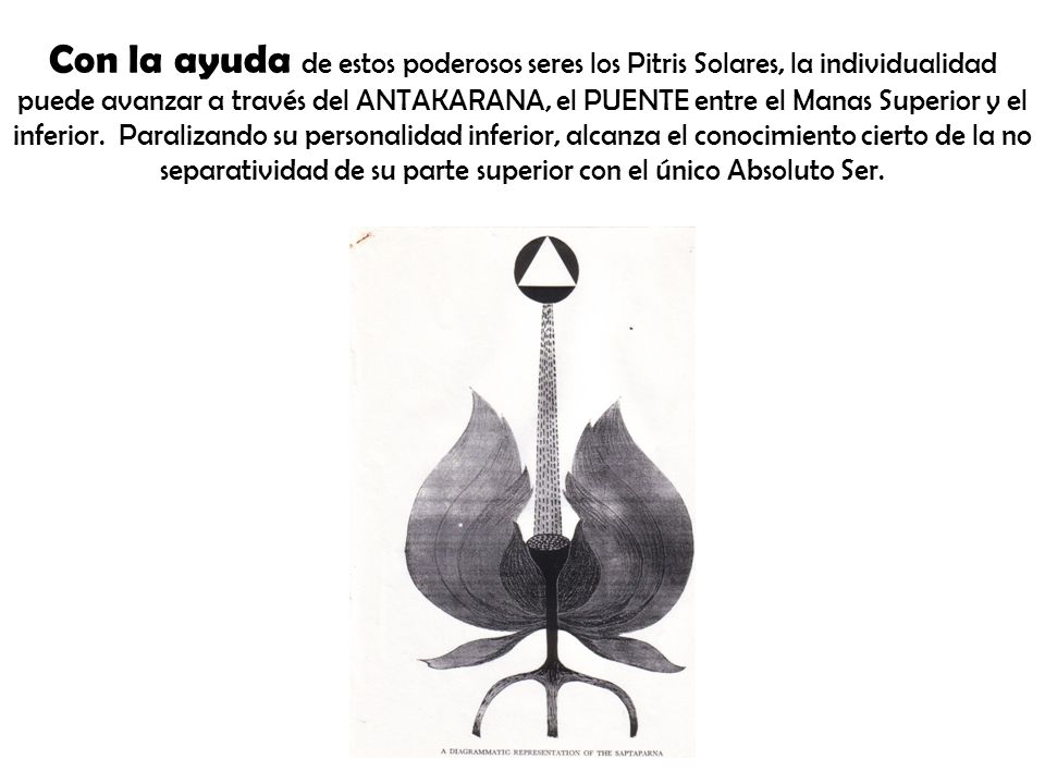 Con la ayuda de estos poderosos seres los Pitris Solares, la individualidad puede avanzar a través del ANTAKARANA, el PUENTE entre el Manas Superior y el inferior.