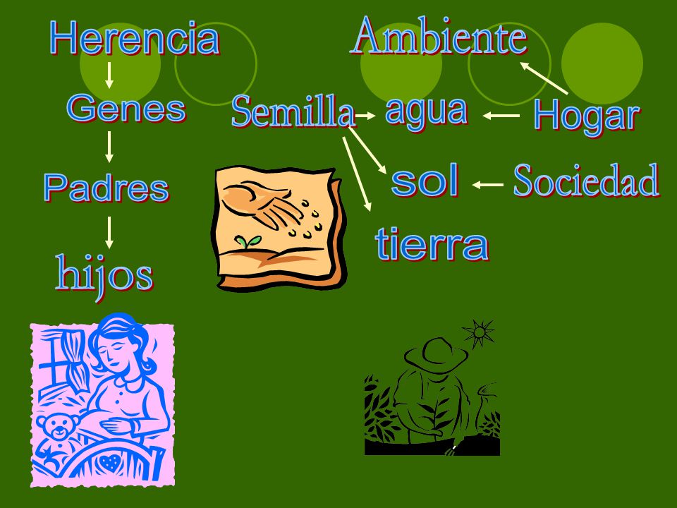 Ambiente Herencia Genes Semilla agua Hogar sol Sociedad Padres tierra hijos