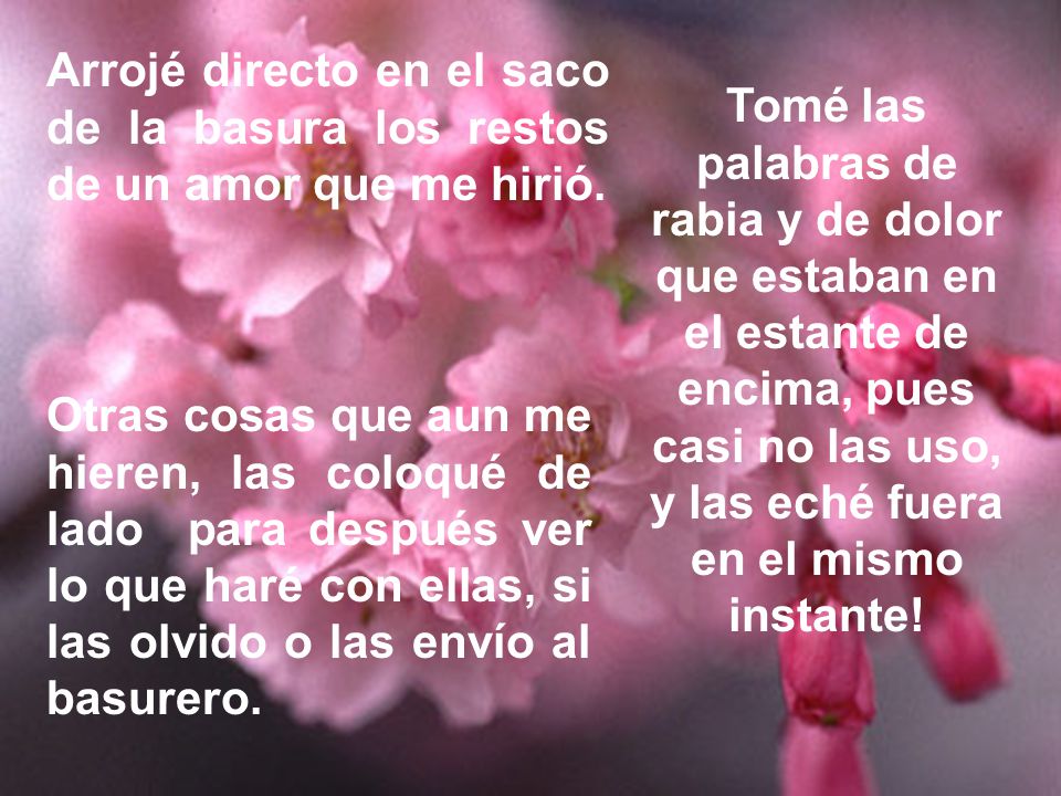 Arrojé directo en el saco de la basura los restos de un amor que me hirió.