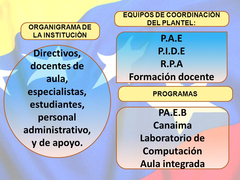 docentes de aula, especialistas,