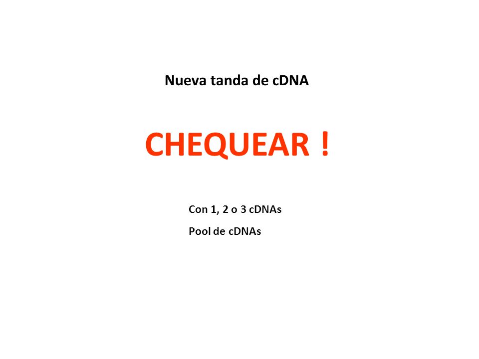Nueva tanda de cDNA CHEQUEAR ! Con 1, 2 o 3 cDNAs Pool de cDNAs