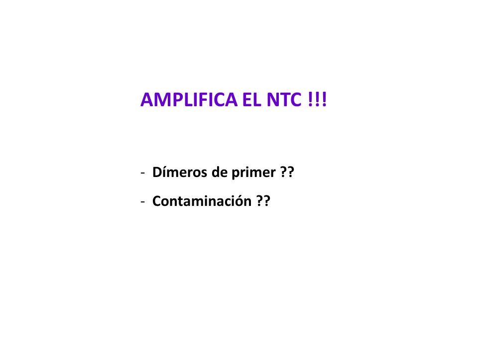 AMPLIFICA EL NTC !!! Dímeros de primer Contaminación