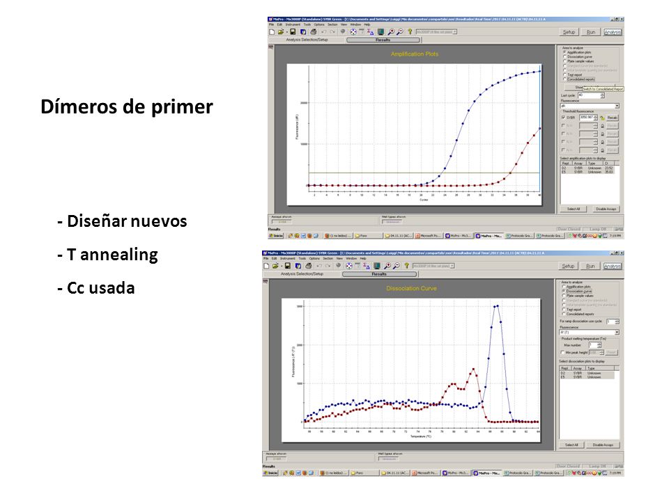 Dímeros de primer - Diseñar nuevos - T annealing - Cc usada