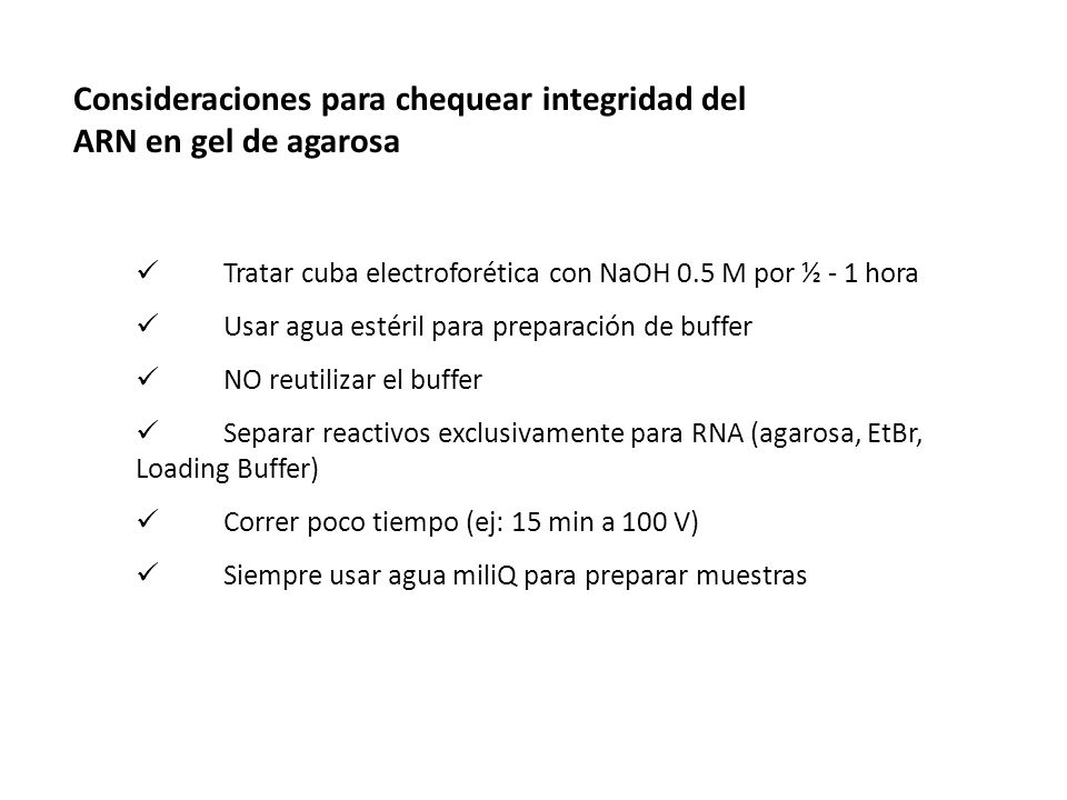 Consideraciones para chequear integridad del ARN en gel de agarosa