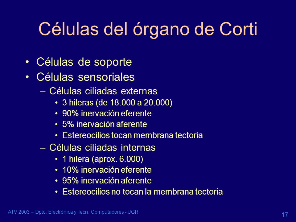 Células del órgano de Corti