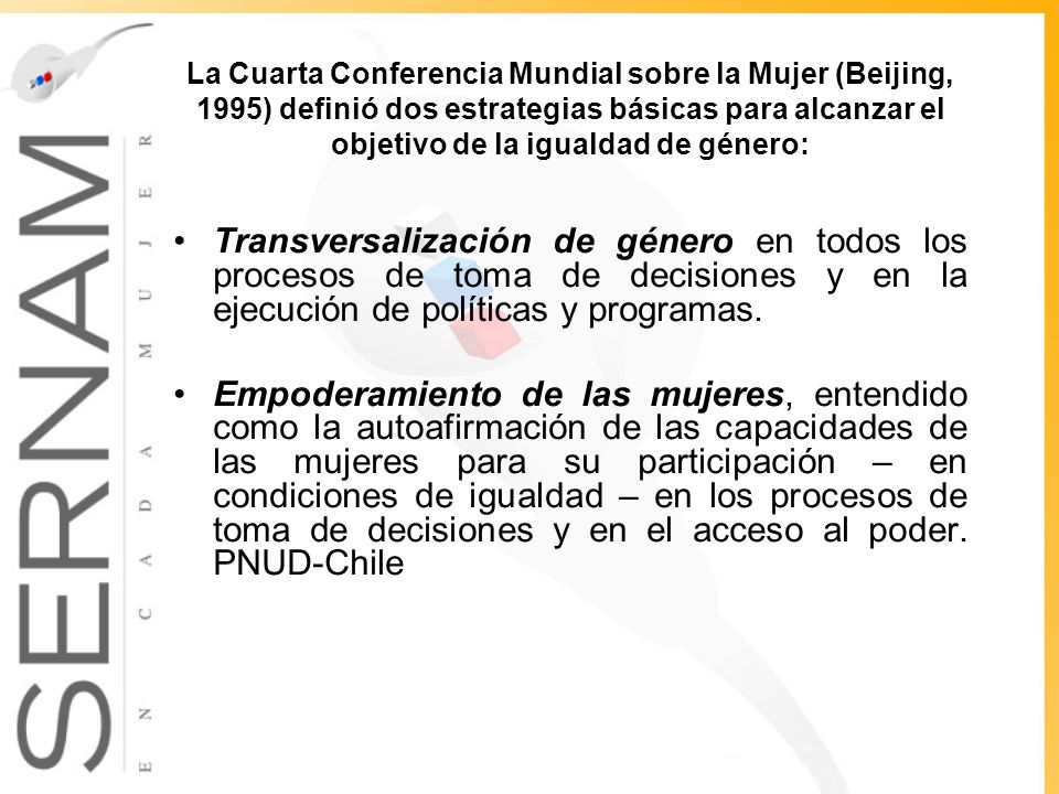 La Cuarta Conferencia Mundial sobre la Mujer (Beijing, 1995) definió dos estrategias básicas para alcanzar el objetivo de la igualdad de género: