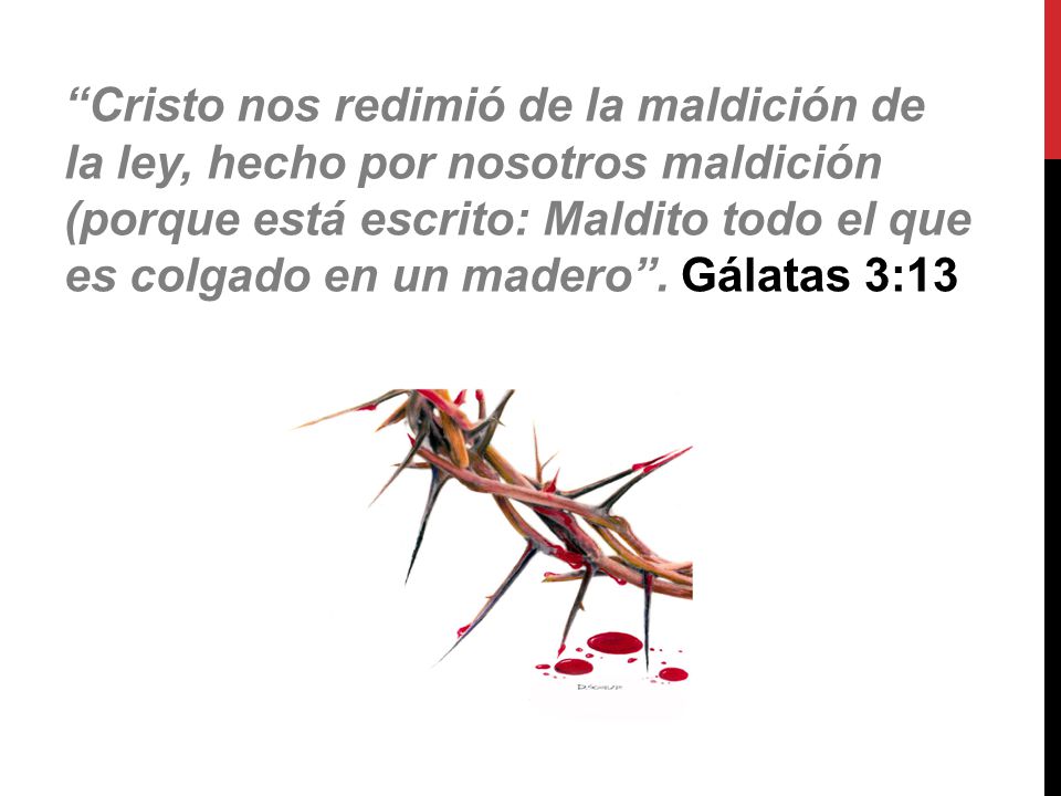 Cristo nos redimió de la maldición de la ley, hecho por nosotros maldición (porque está escrito: Maldito todo el que es colgado en un madero .