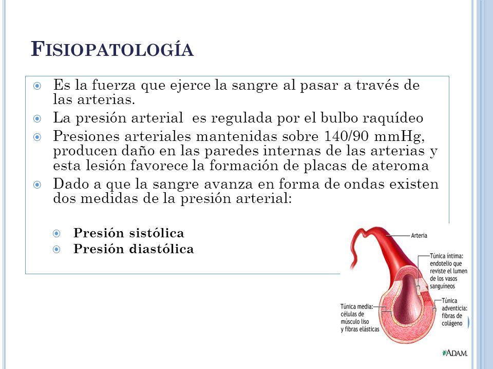 Fisiopatología Es la fuerza que ejerce la sangre al pasar a través de las arterias. La presión arterial es regulada por el bulbo raquídeo.