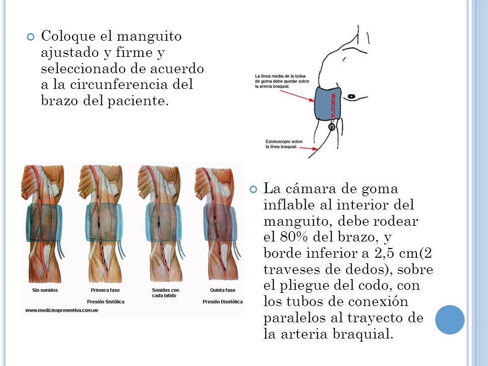Coloque el manguito ajustado y firme y seleccionado de acuerdo a la circunferencia del brazo del paciente.