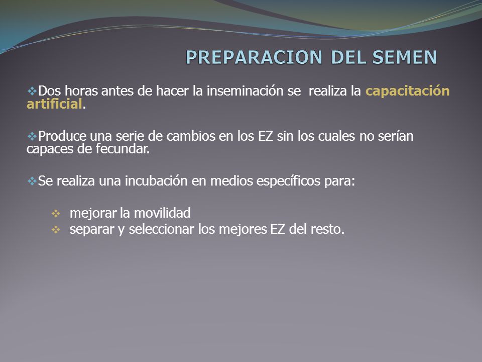 PREPARACION DEL SEMEN Dos horas antes de hacer la inseminación se realiza la capacitación artificial.
