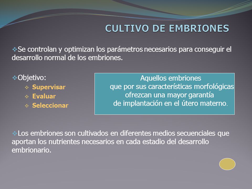 CULTIVO DE EMBRIONES Se controlan y optimizan los parámetros necesarios para conseguir el desarrollo normal de los embriones.