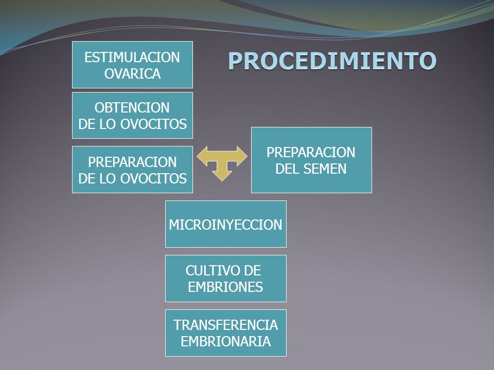ESTIMULACION OVARICA. OBTENCION. DE LO OVOCITOS. PREPARACION. DEL SEMEN. PREPARACION. DE LO OVOCITOS.