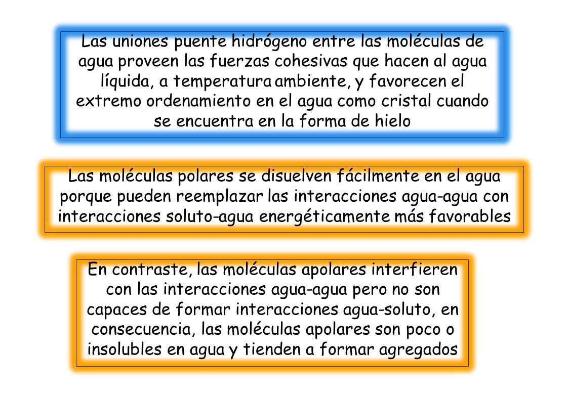 Las uniones puente hidrógeno entre las moléculas de agua proveen las fuerzas cohesivas que hacen al agua líquida, a temperatura ambiente, y favorecen el extremo ordenamiento en el agua como cristal cuando se encuentra en la forma de hielo