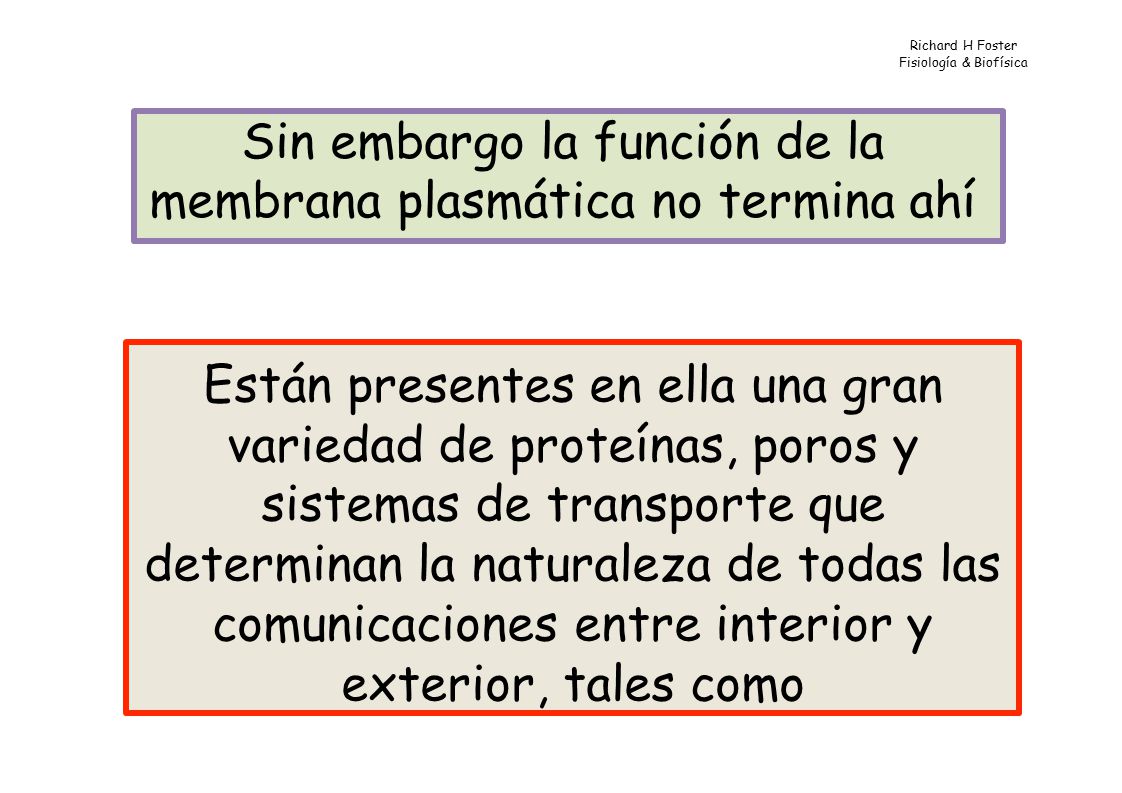 Sin embargo la función de la membrana plasmática no termina ahí