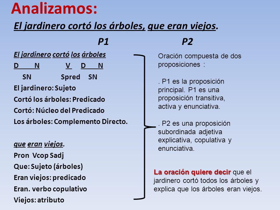 Analizamos: El jardinero cortó los árboles, que eran viejos. P1 P2