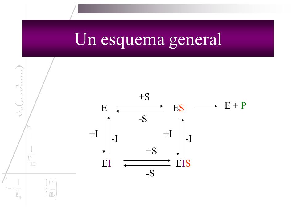 Un esquema general +S E + P E ES -S +I +I -I -I +S EI EIS -S
