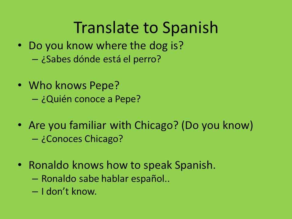 Translate to Spanish Do you know where the dog is Who knows Pepe