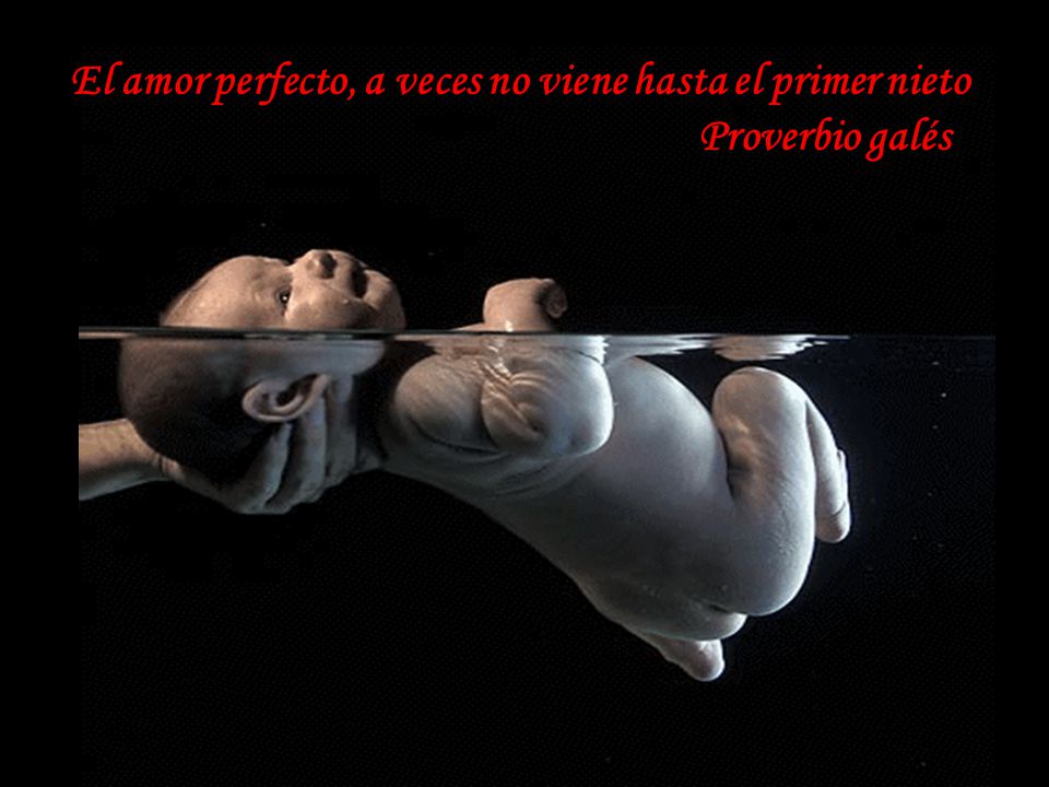 El amor perfecto, a veces no viene hasta el primer nieto