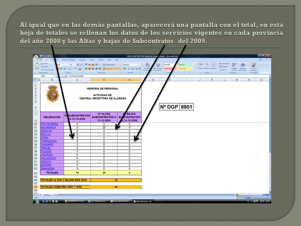 Al igual que en las demás pantallas, aparecerá una pantalla con el total, en esta hoja de totales se rellenan los datos de los servicios vigentes en cada provincia del año 2008 y las Altas y bajas de Subcontratos del 2009.