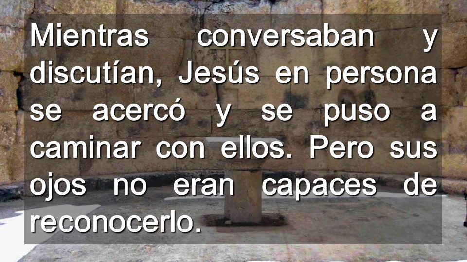 Mientras conversaban y discutían, Jesús en persona se acercó y se puso a caminar con ellos.
