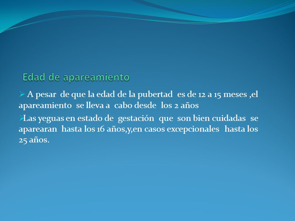 Edad de apareamiento A pesar de que la edad de la pubertad es de 12 a 15 meses ,el apareamiento se lleva a cabo desde los 2 años.