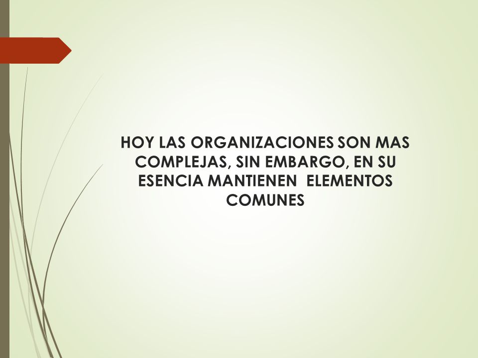 HOY LAS ORGANIZACIONES SON MAS COMPLEJAS, SIN EMBARGO, EN SU ESENCIA MANTIENEN ELEMENTOS COMUNES