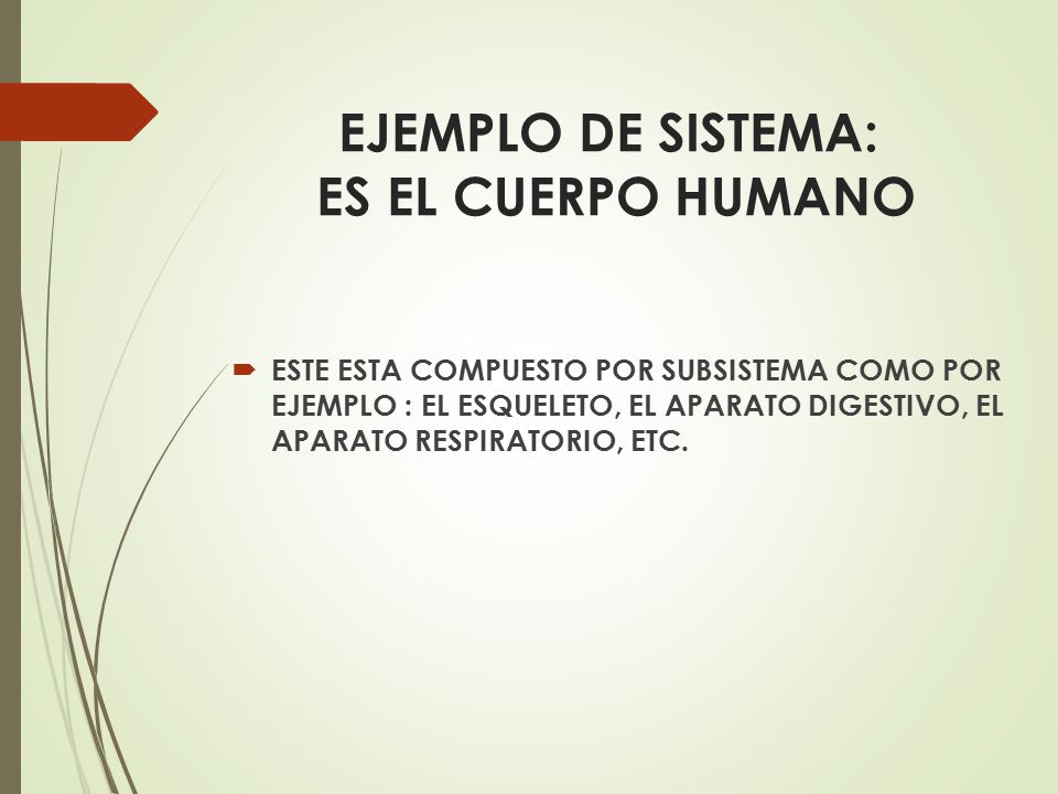 EJEMPLO DE SISTEMA: ES EL CUERPO HUMANO